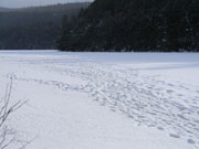 2013 Condon Lake Snow Pictures